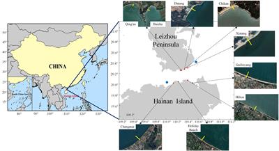 Evaluation of the applicability of beach erosion and accretion index in Qiongzhou Strait of China